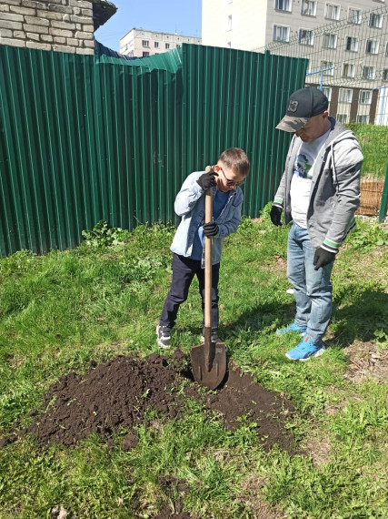 Родителям первоклассников выпала почётная миссия посадить кедры Победы!.